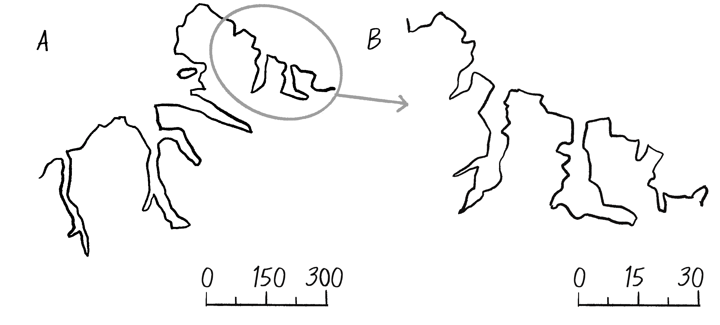 Figure 8.5: Two coastlines of Greenland, with scale