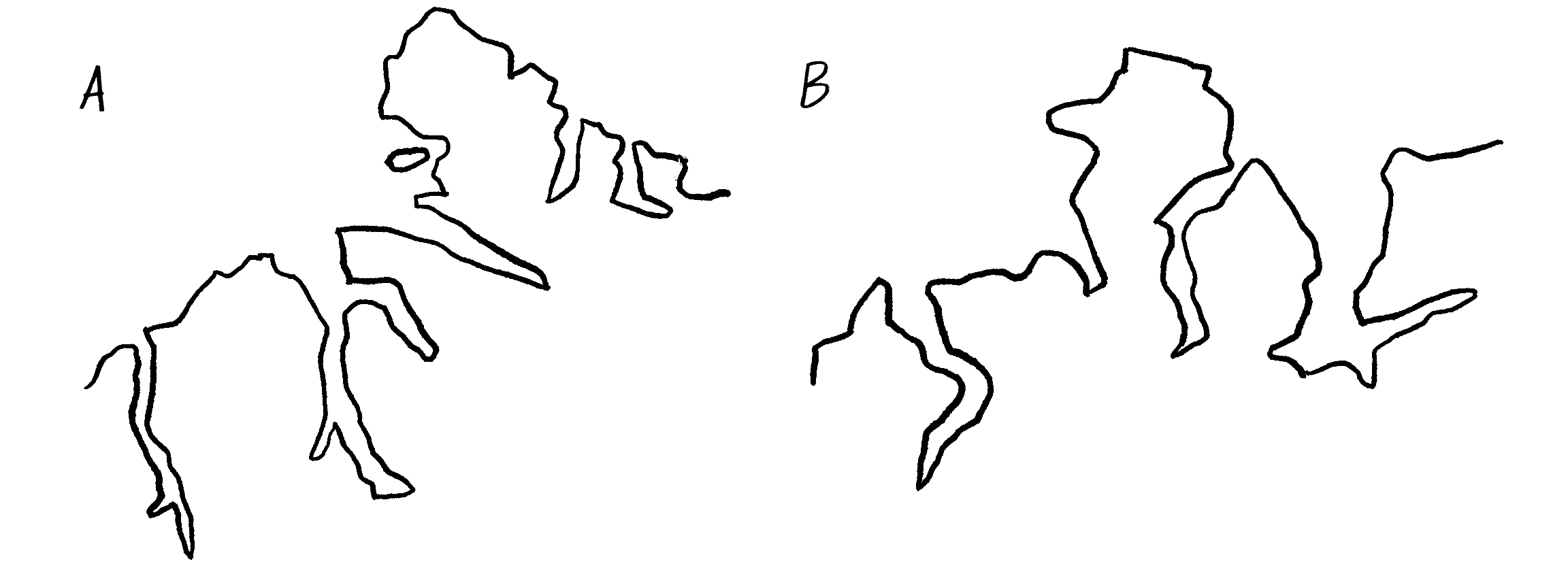 Figure 8.4: Two coastlines of Greenland