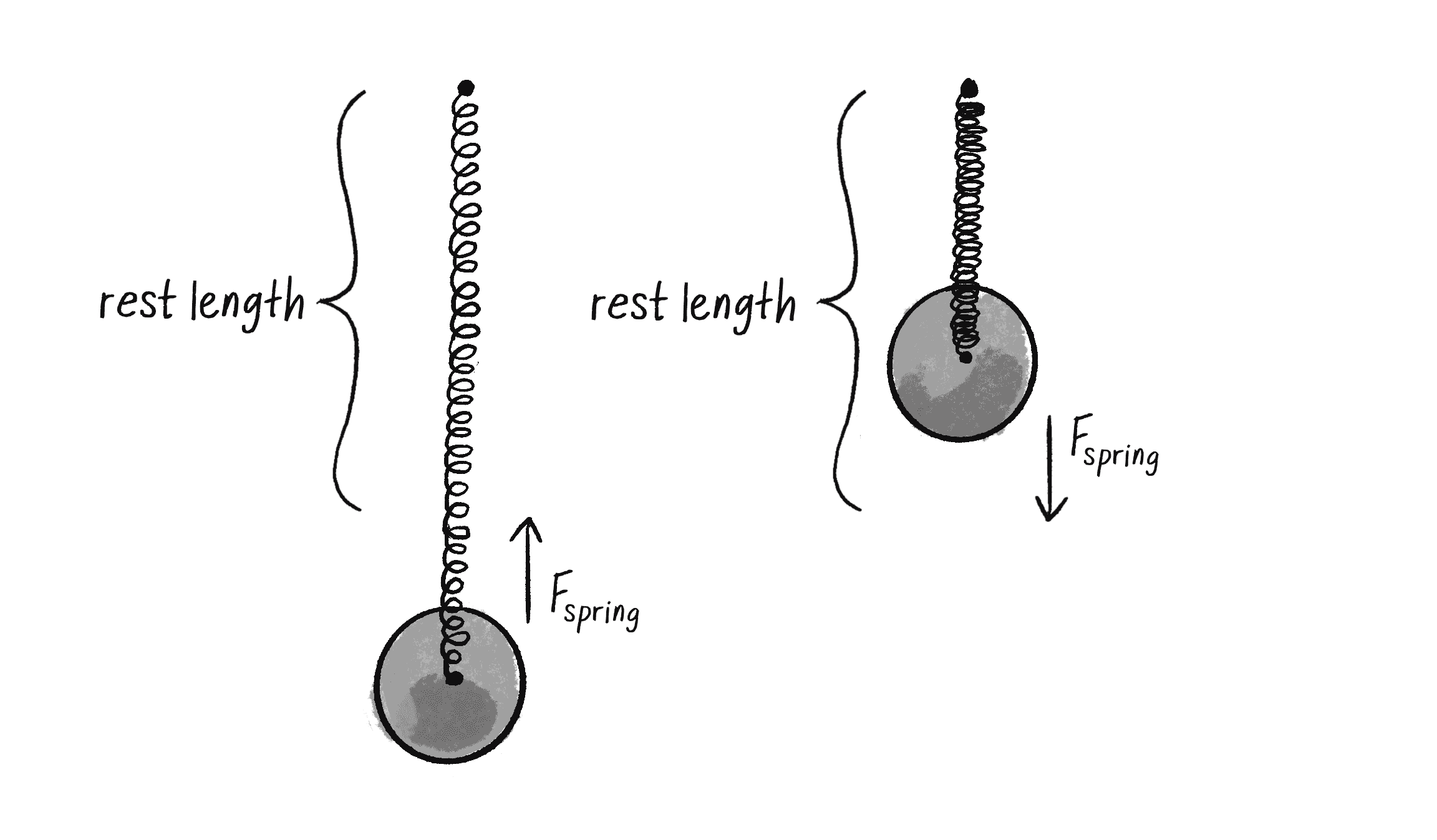 Figure 3.13: The spring force points in the opposite direction of the displacement.