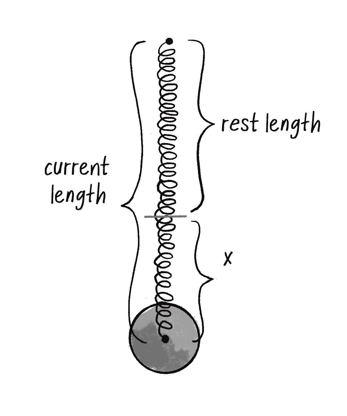 Figure 3.12: A spring’s extension (x) is the difference between its current length and its rest length.