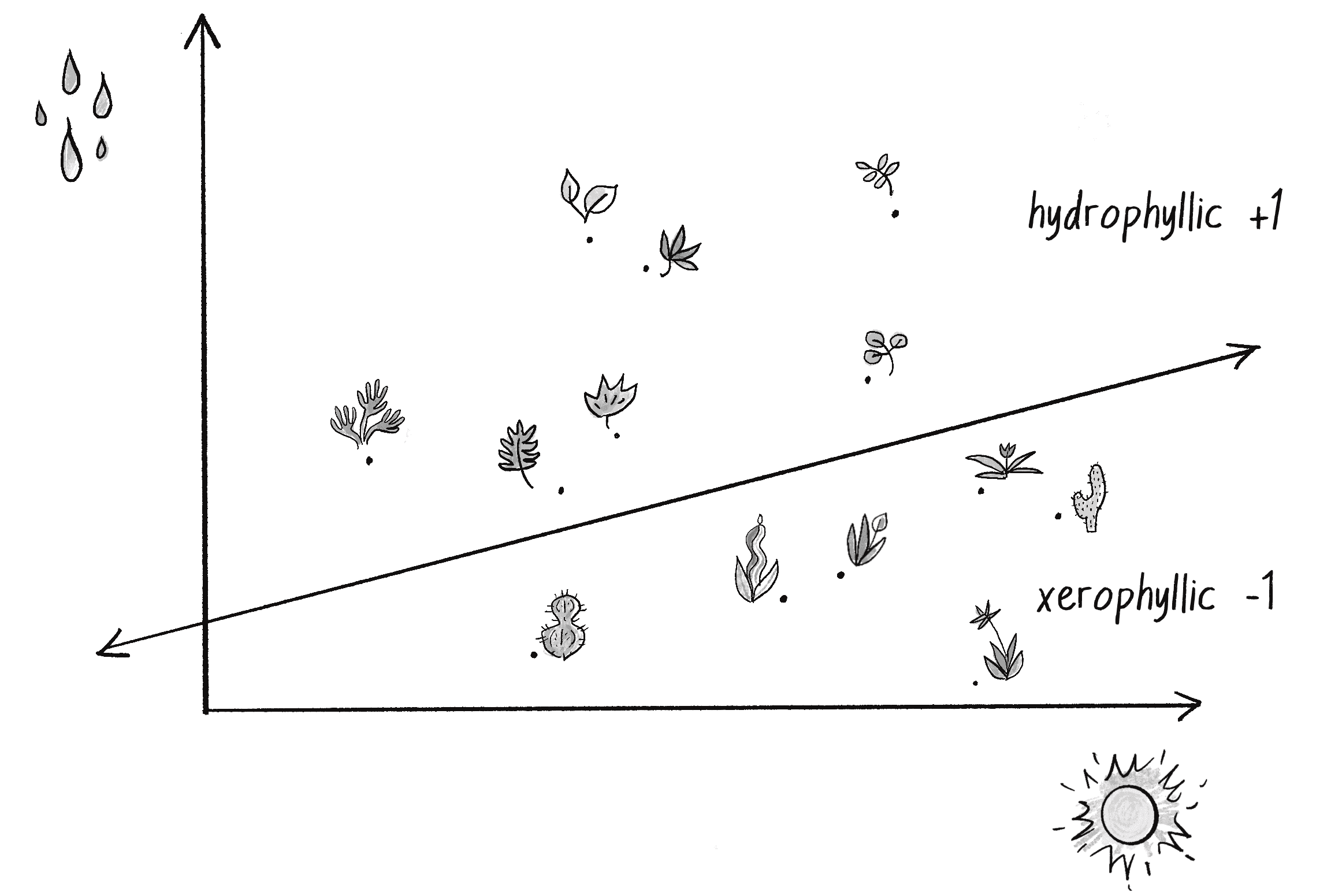 Figure 10.4: A collection of points in two dimensional space divided by a line, representing plant categories according to their water and sunlight intake 